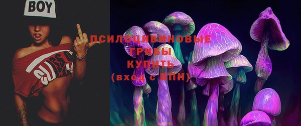 спиды Медвежьегорск
