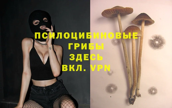 амф Алзамай