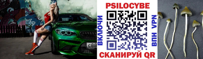Псилоцибиновые грибы GOLDEN TEACHER  Юрюзань 
